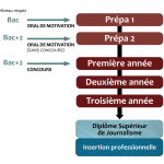 Schema