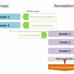 Schema-école